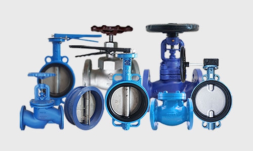 introduction-cat-valve-1-2